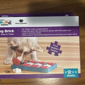 Outward Hound Interactive Dog Puzzle - Red and Blue